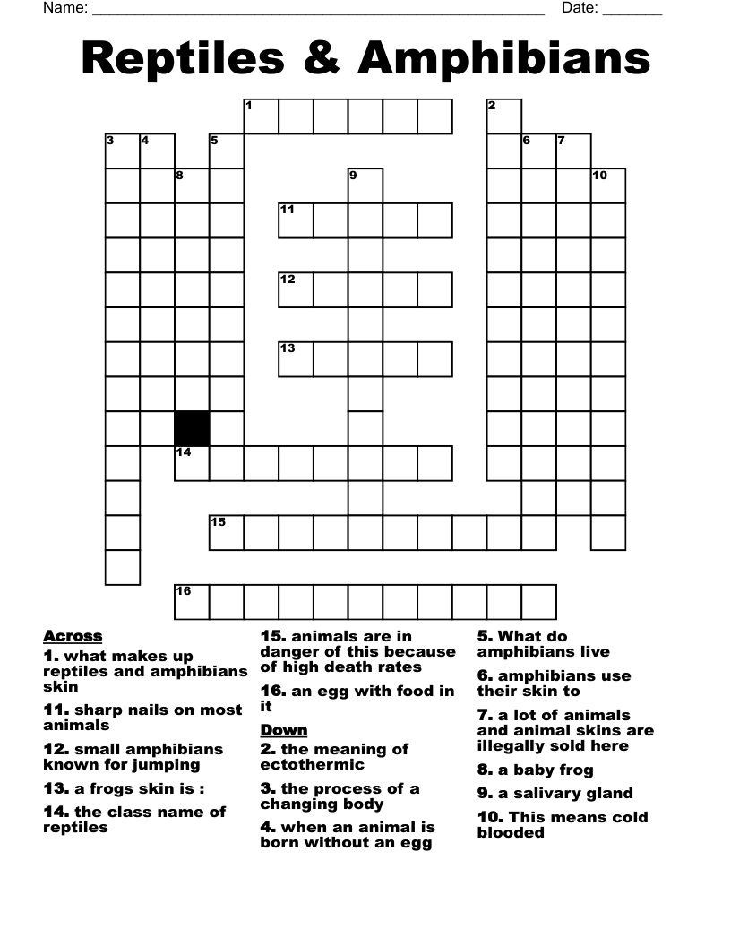 amphibian crossword clue 4 letters