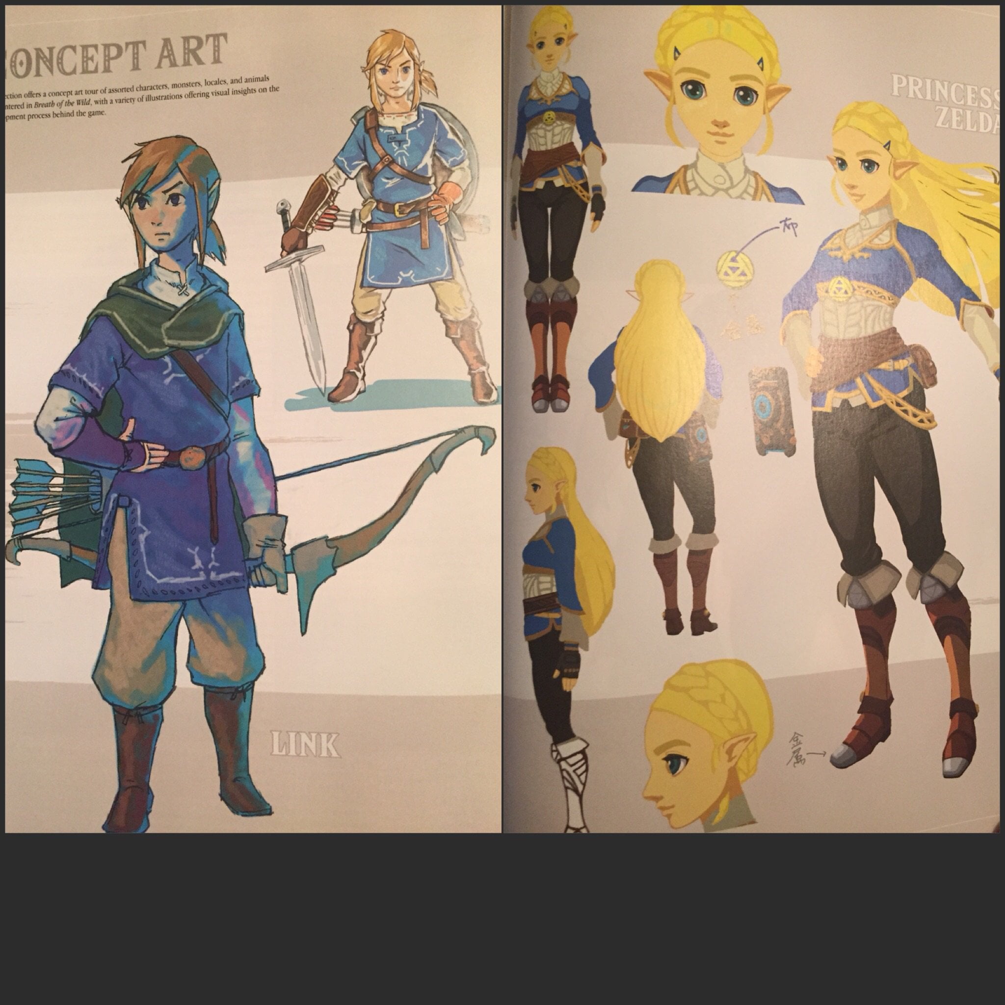 botw concept art