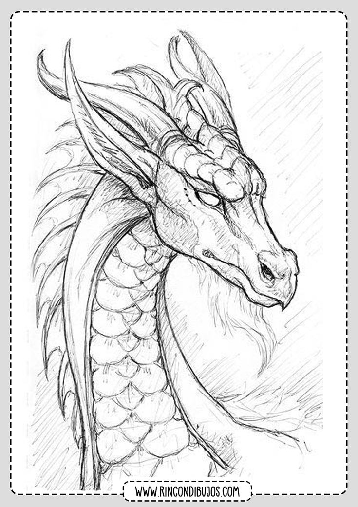 dragon dibujo a lapiz