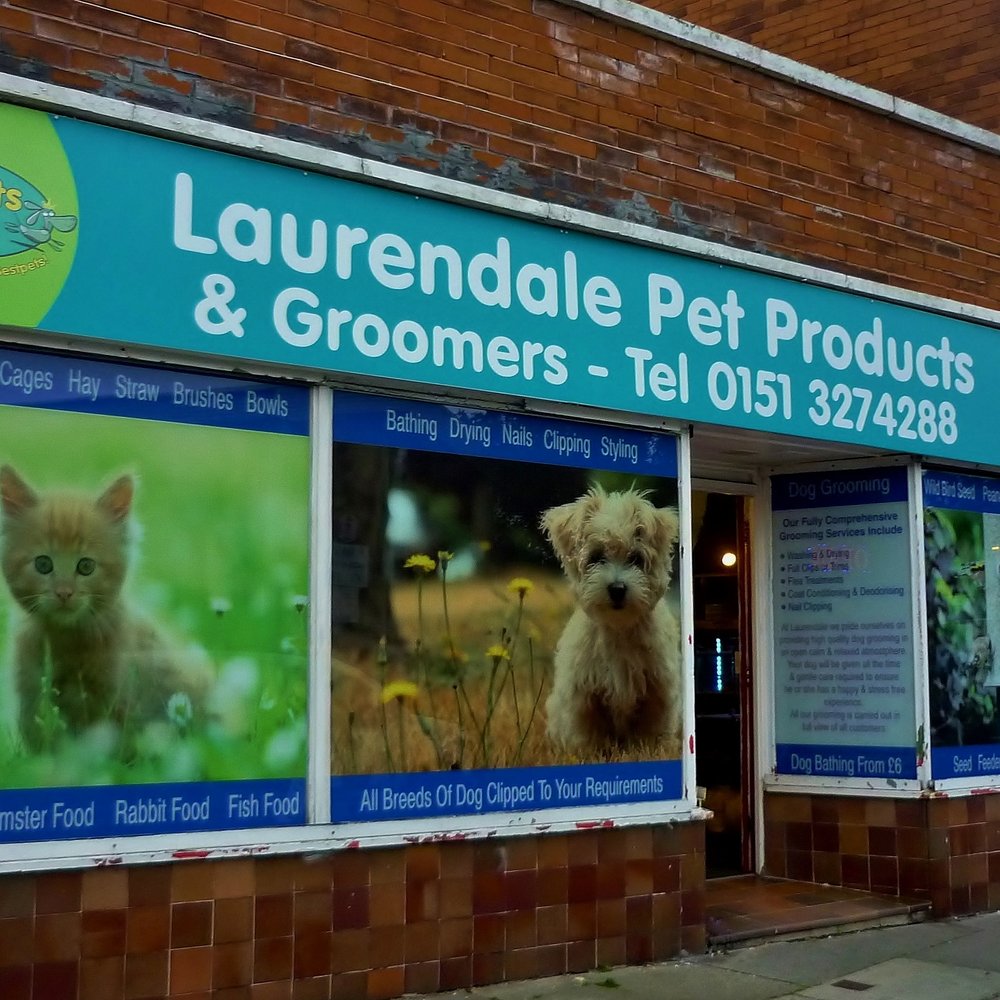 dog groomers ellesmere port