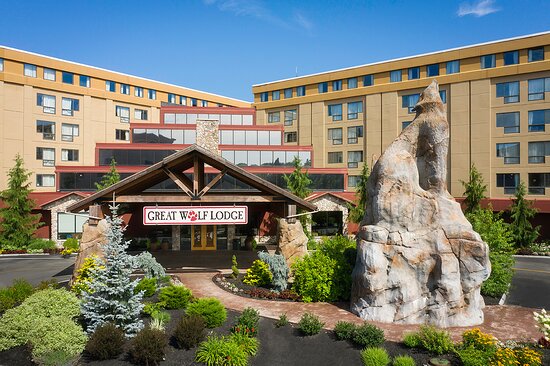 hotels near the great wolf lodge