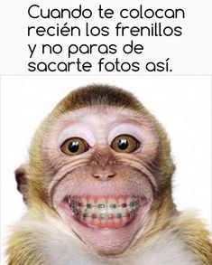 memes con brackets