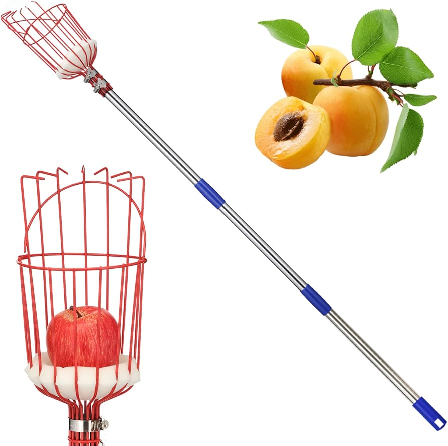 mango picker tool