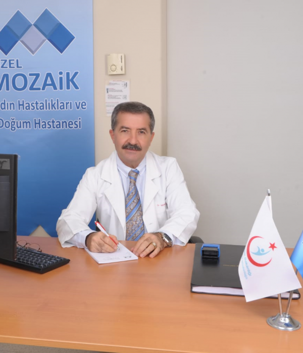 mozaik hastanesi tel no