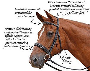 albion bridle