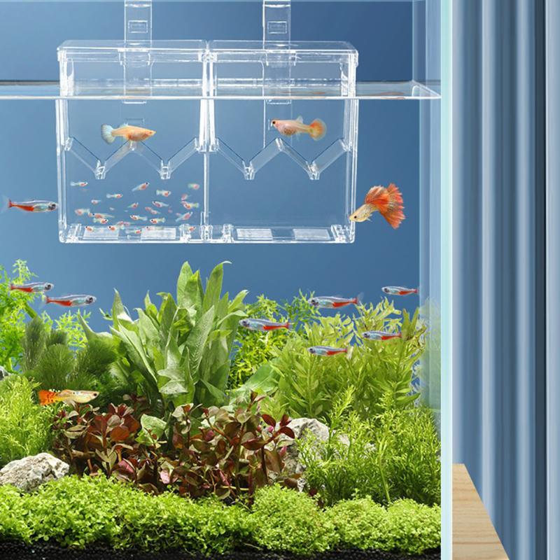 acrilic fish tank