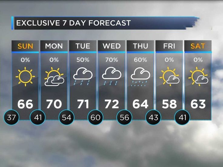 7 day weather check