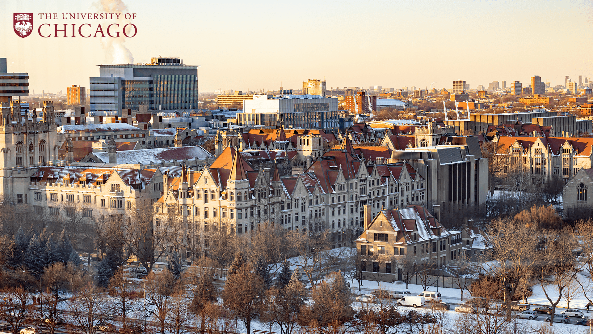 university of chicago zoom