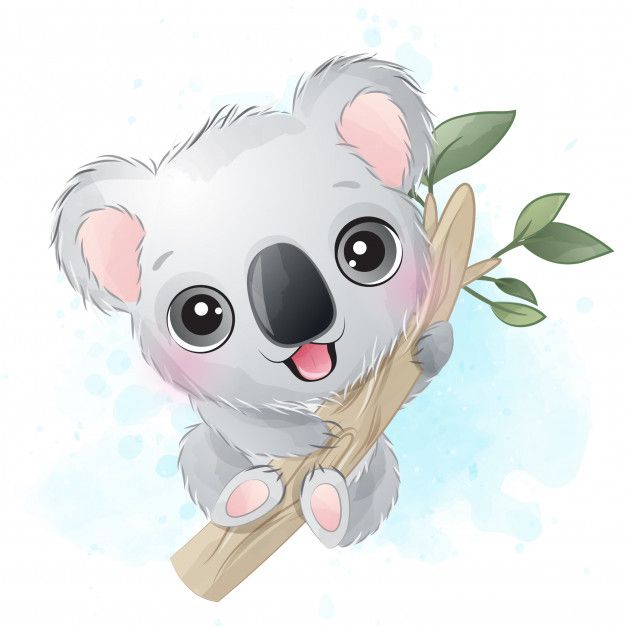 cute koala bear pictures