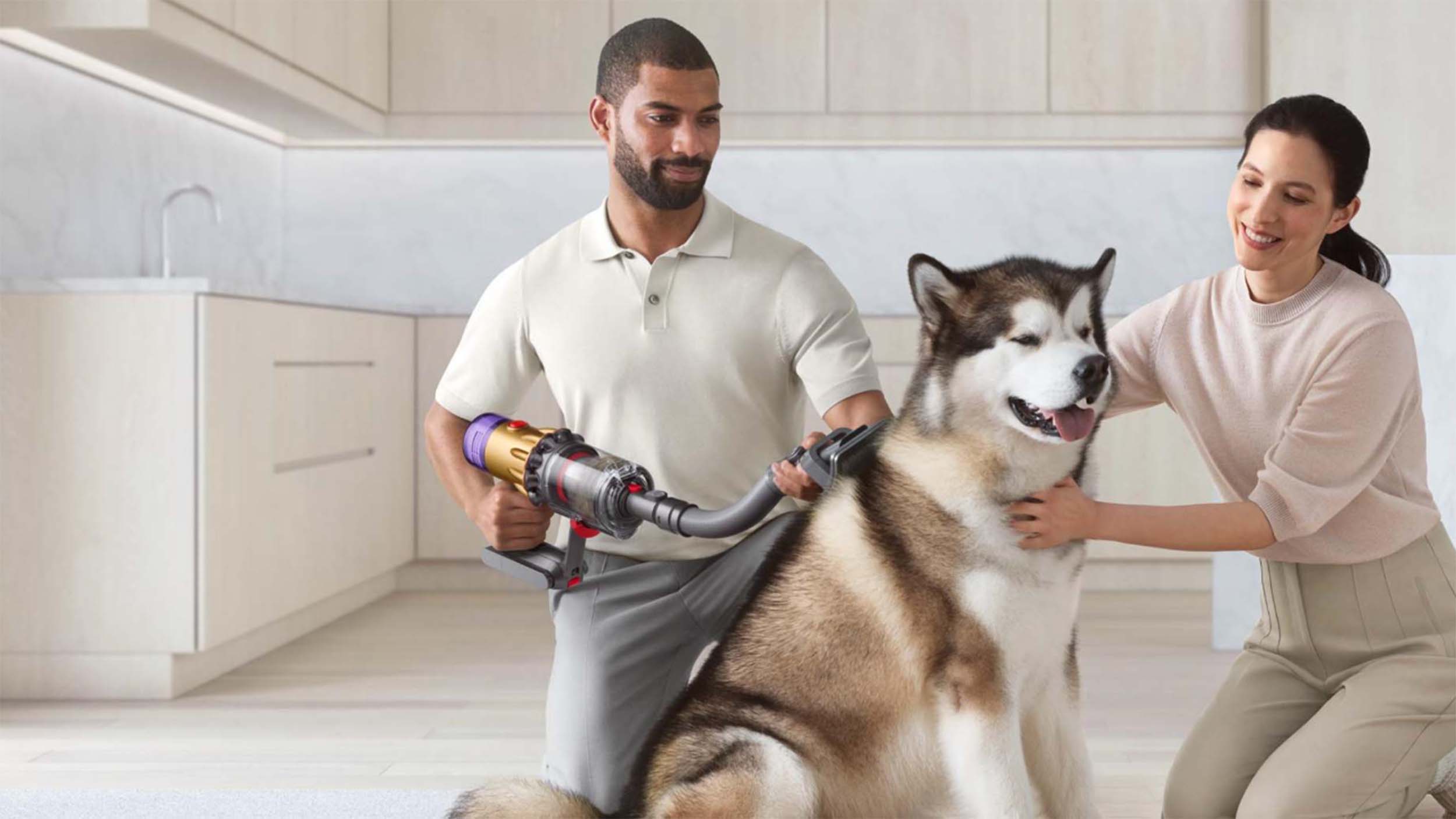 dyson groom