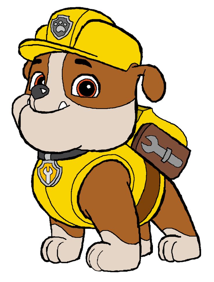 paw patrol dibujos animados