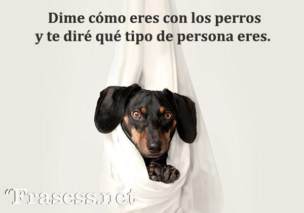 emotivas frases para perros instagram