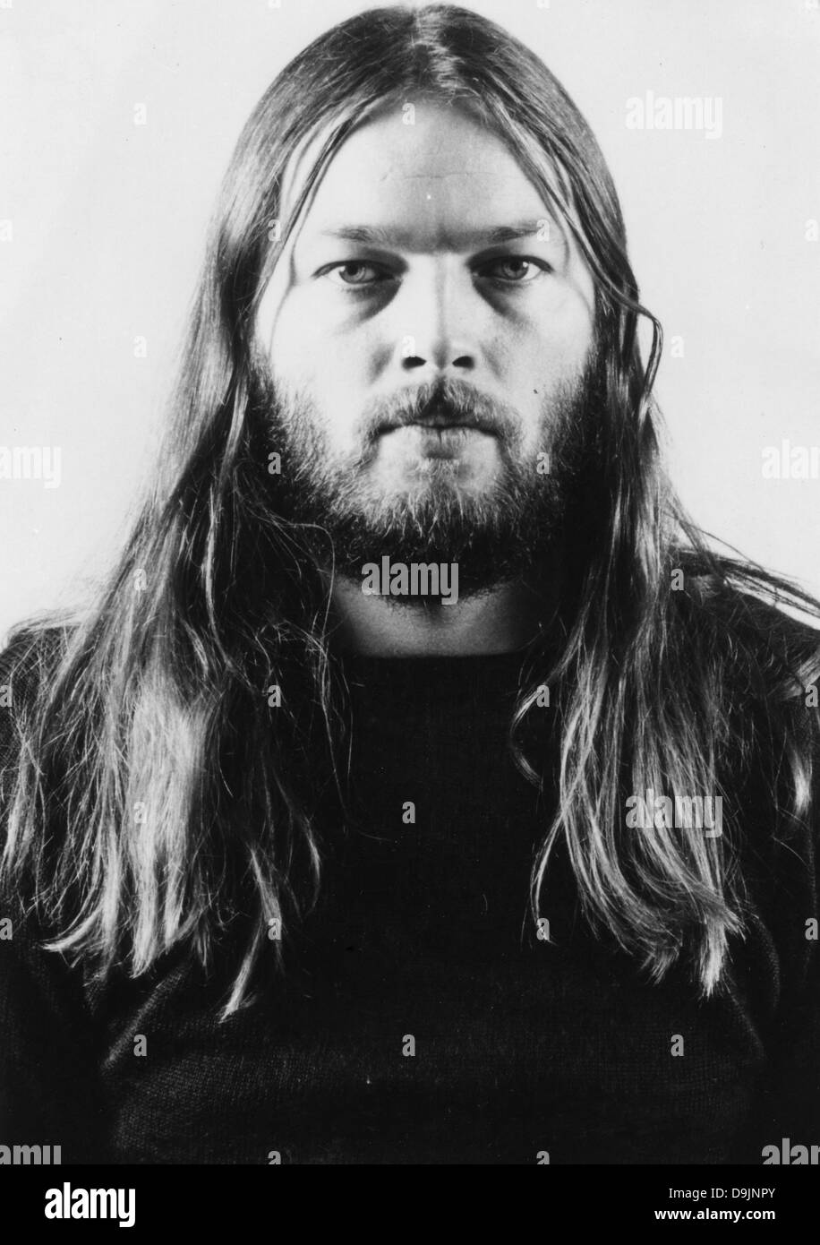 david gilmour hair