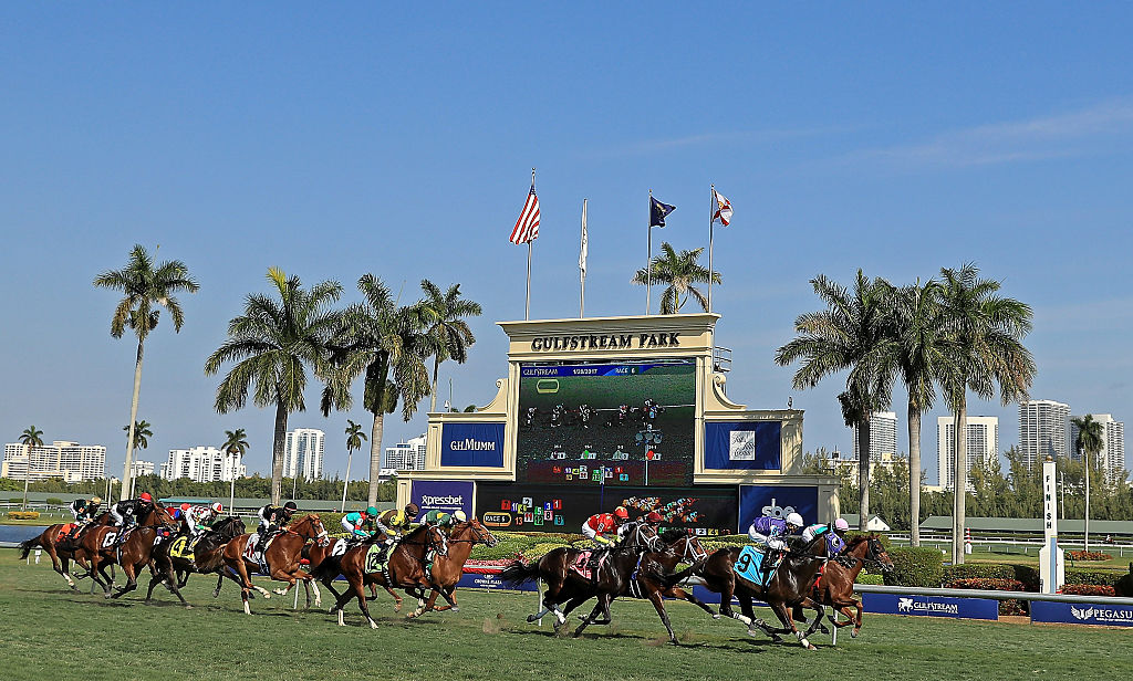 gulfstreampark livestream