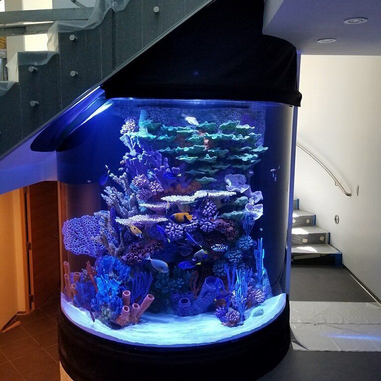 fish tank makers near me