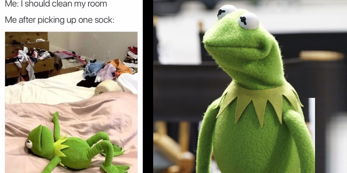 kermit the frog meme