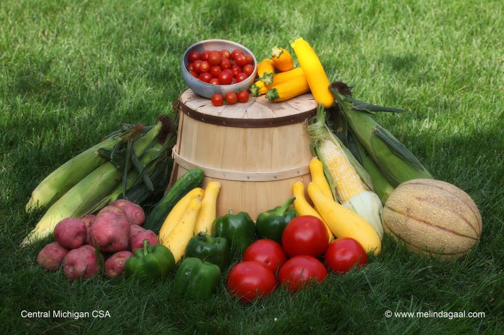 central michigan farm and garden