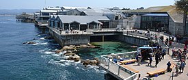 monterey wiki