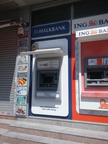 halk bank near me