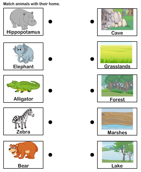 habitat animals worksheet