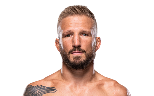 t.j. dillashaw