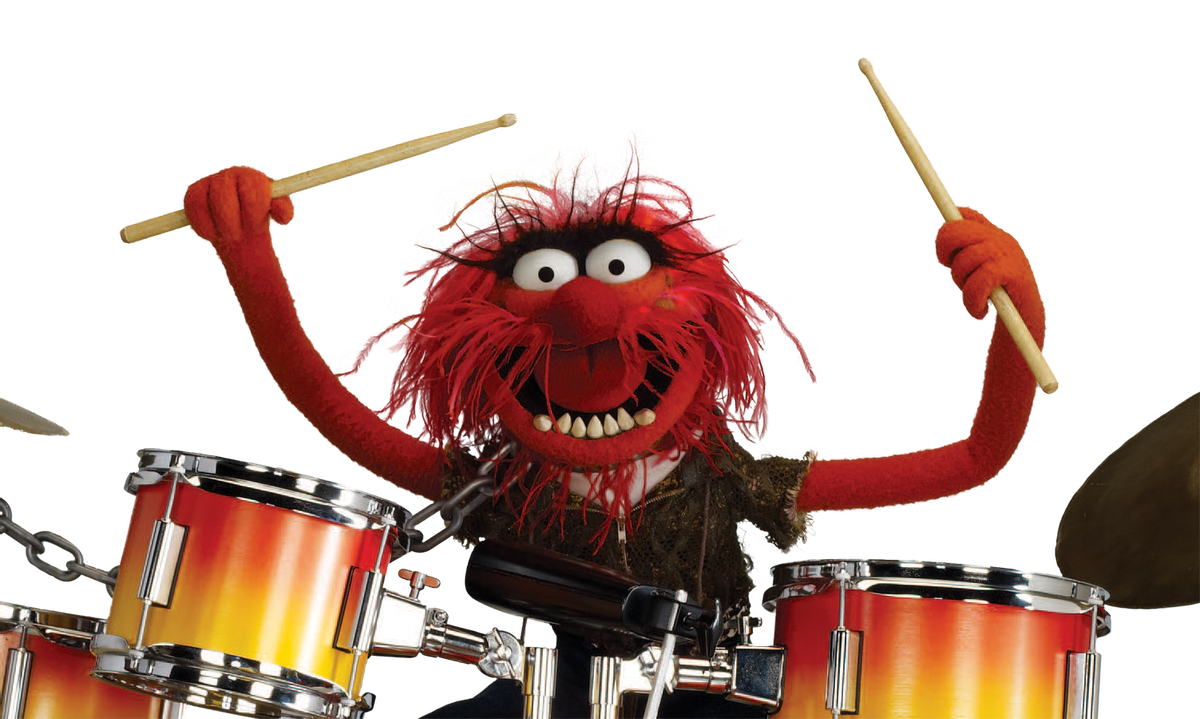 drummer muppets