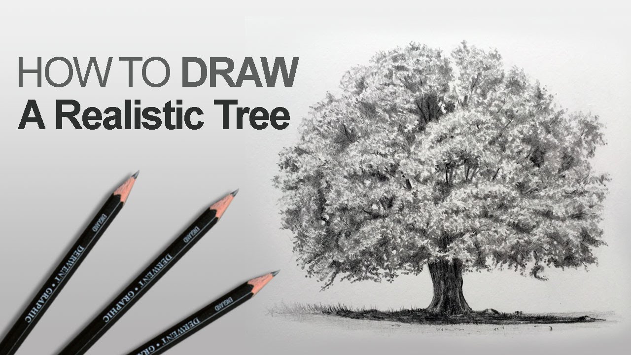 drawing realistic trees step by step