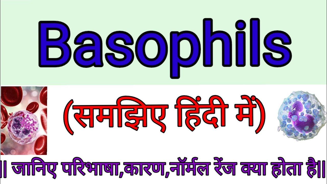 basophils test in hindi