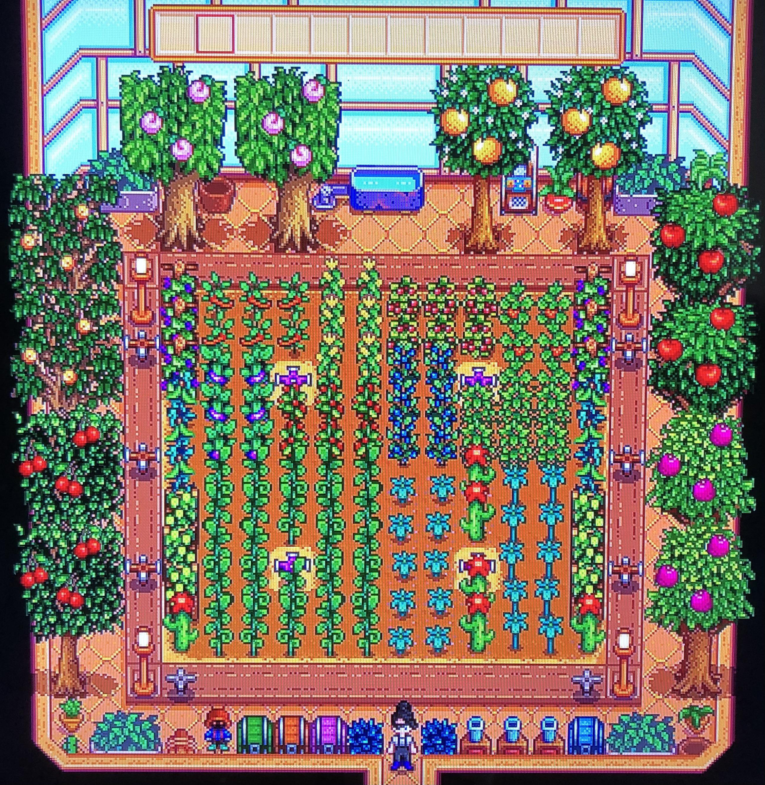 greenhouse layout stardew