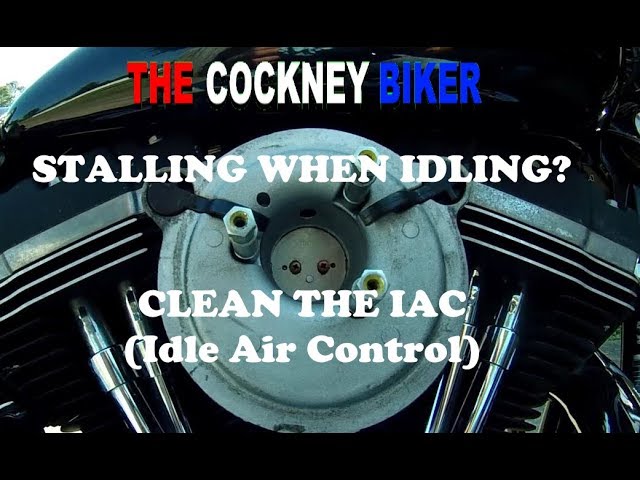 harley idle air control valve location