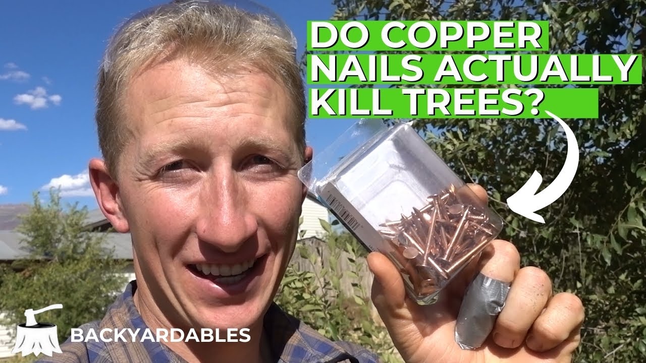 killing tree stumps copper nails