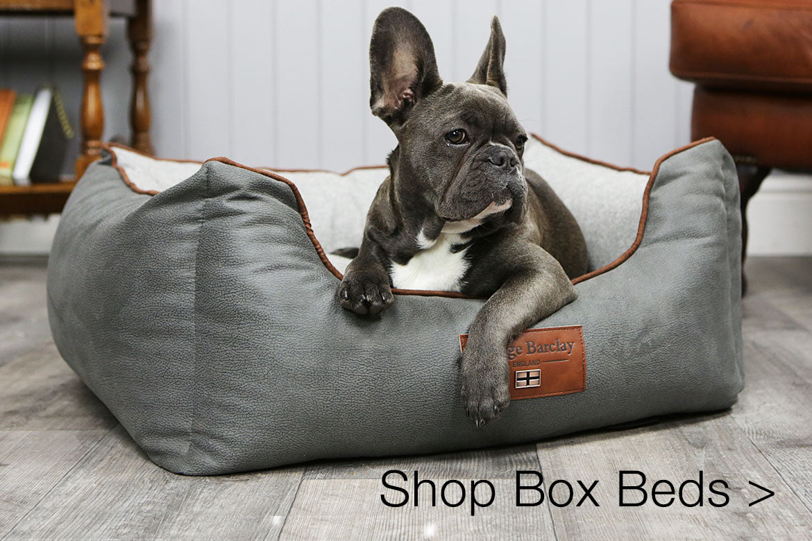 george barclay dog beds