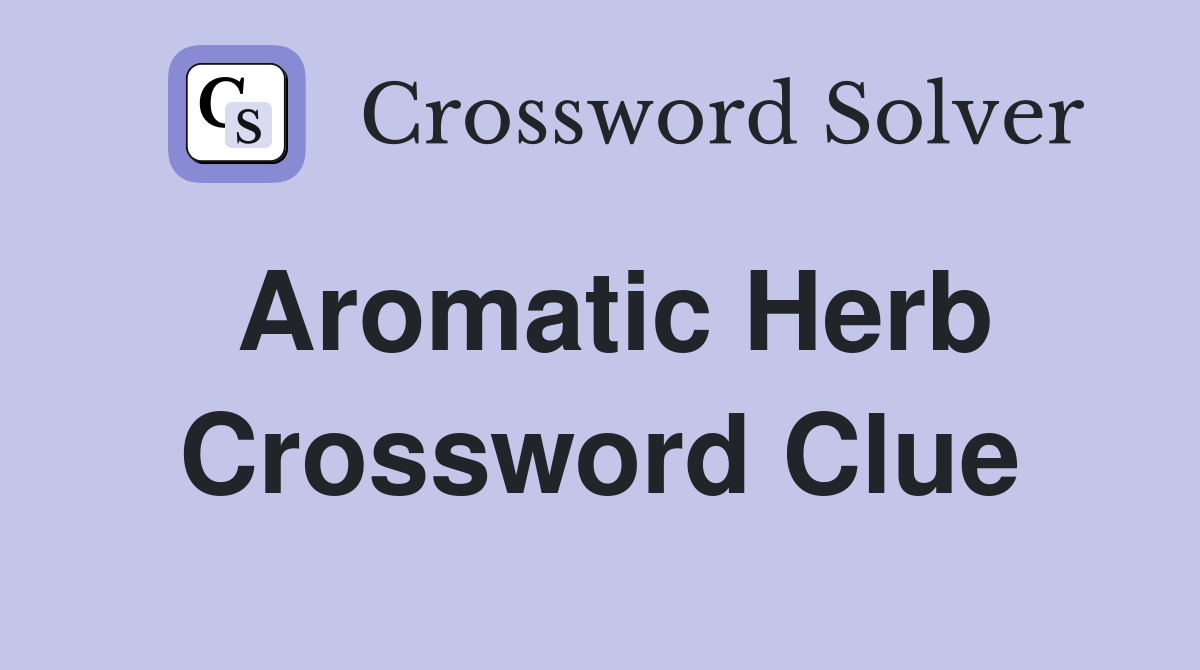 crossword aromatic herb