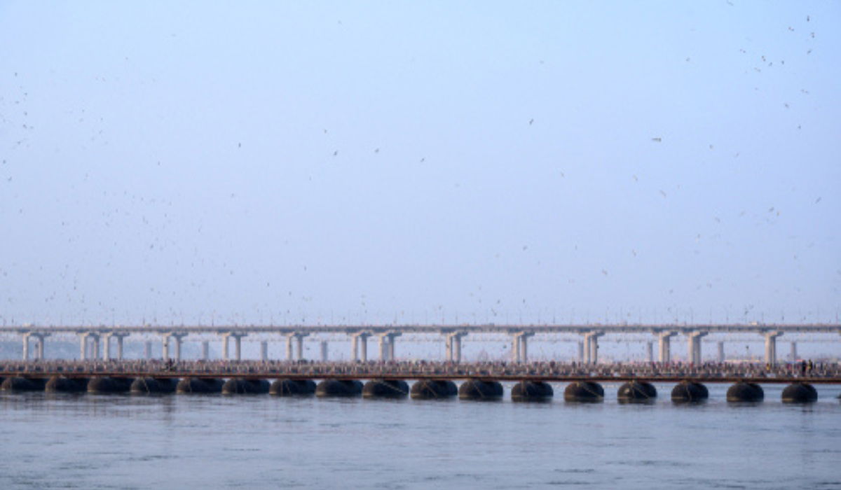 pontoon bridge meaning in hindi