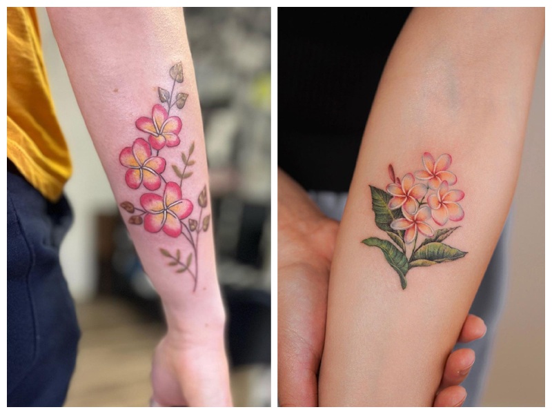 frangipani tattoo designs