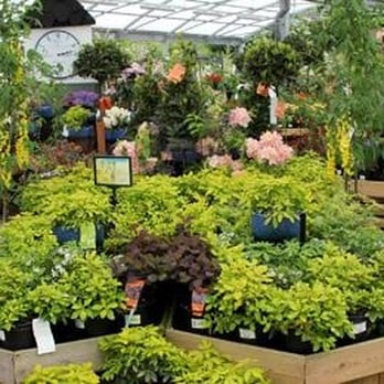 weaver vale garden centre