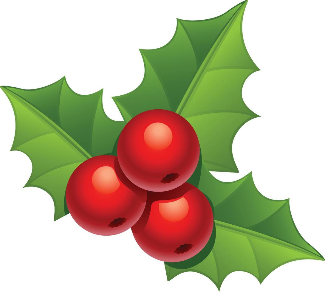 christmas berries clipart