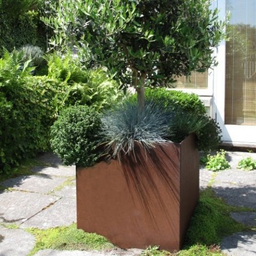 giant planters for trees