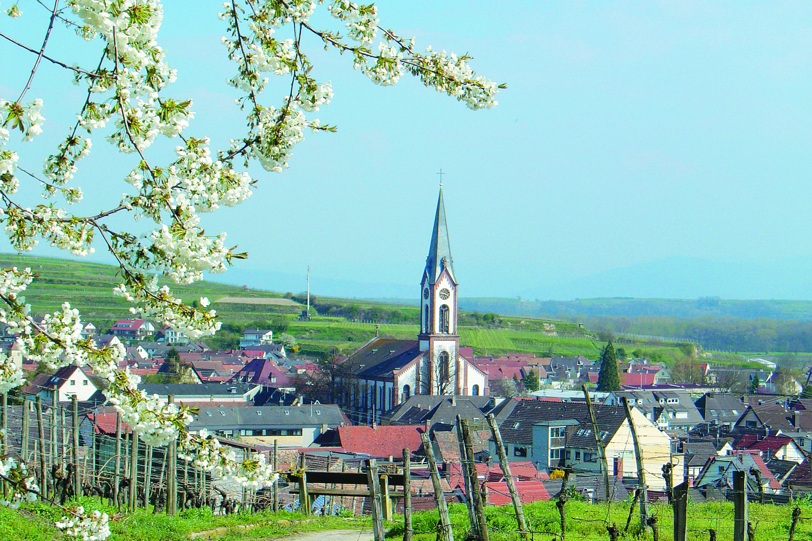 kaiserstuhl webcam