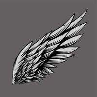 wings illustration vector