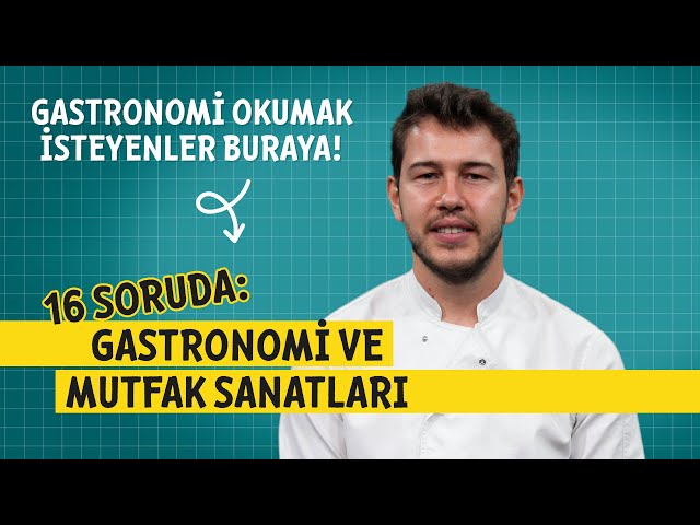 gastronomi sözel mi sayısal mı