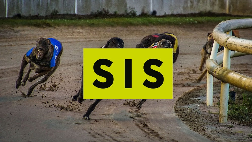 sis greyhound schedule 2024