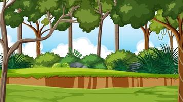 cartoon jungle background hd