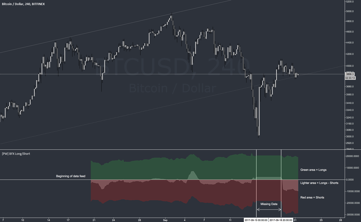 bitfinex shorts