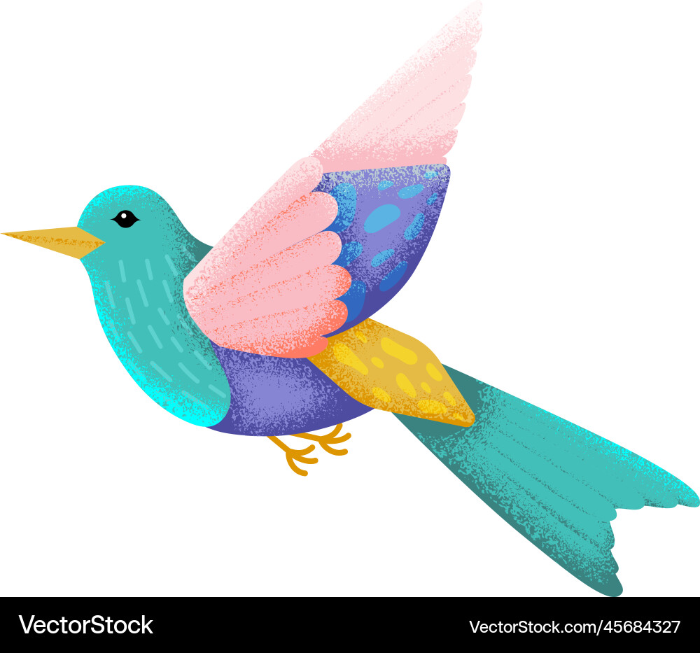 bird color drawing