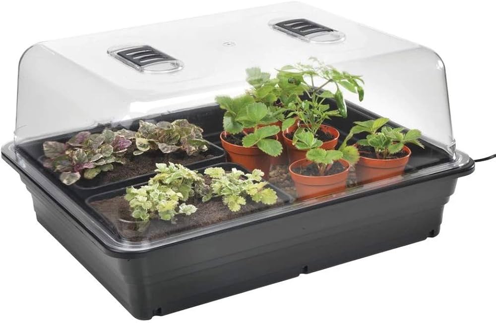 amazon propagator