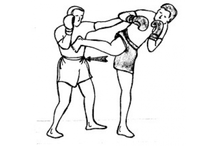 kick boks teknikleri pdf