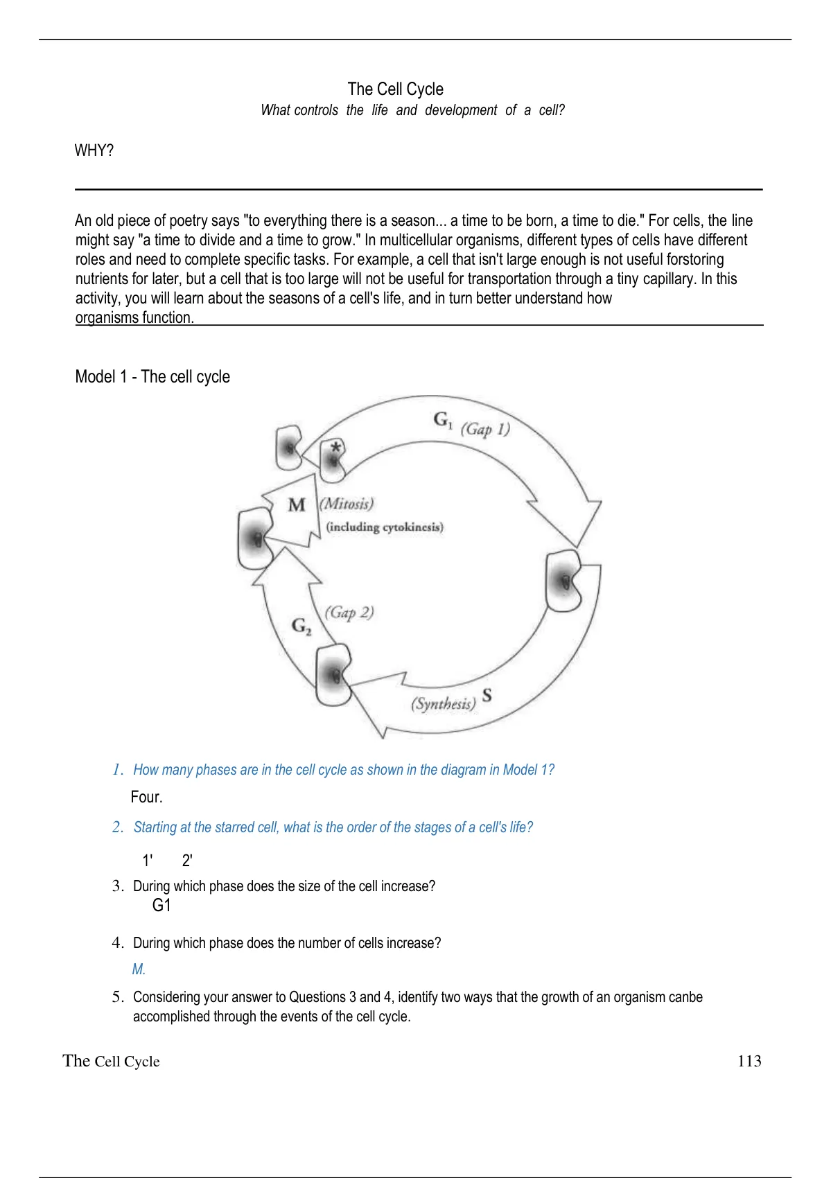 pogil cell cycle