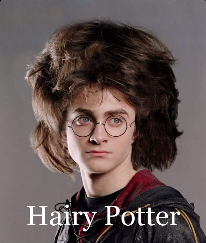 hairy potter meme