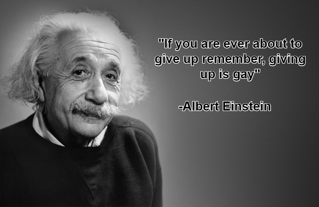 einstein mem